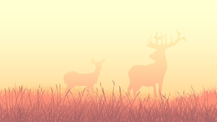 Naklejka na ściany i meble Horizontal illustration of deers in morning field.