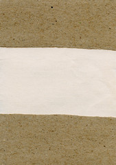Torn paper