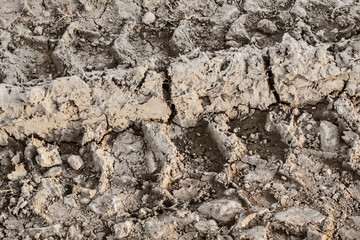 Dry Cracked Mud With Tire Tracks