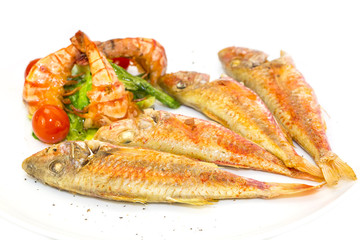 grilled fish with shrimp salad