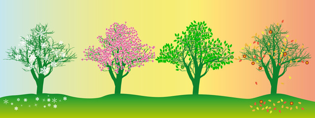 tree in different seasons