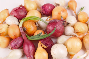 Red, white and yelow onion sets ready for planting