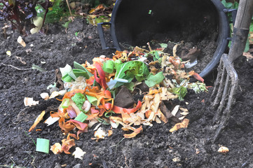 déchets pour compost