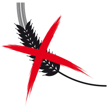 Getreide&auml;hre - Gluten - glutenfrei - Ern&auml;hrung - Getreide, Gerste, Roggen, Gersten&auml;hre, Nahrung ohne Gluten 