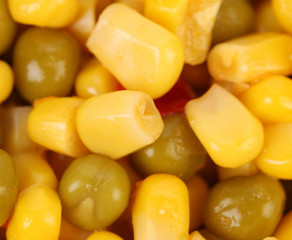 Canned different delicious broad beans