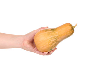 Hand holds fresh orange pumpkin