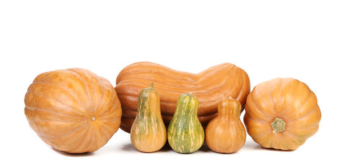 Composition of fresh pumpkins