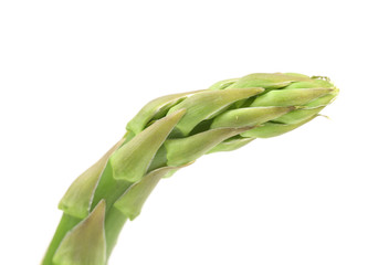 Close up of fresh asparagus spear