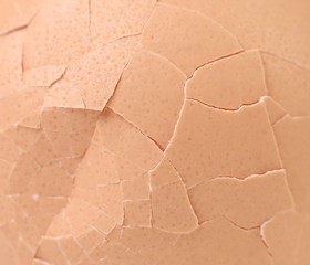 Broken egg shells close up