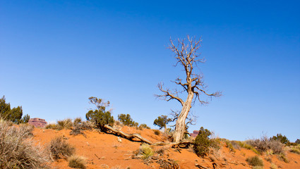 aridity in the Monument Valley