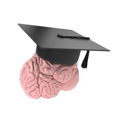 3d brain with graduation hat