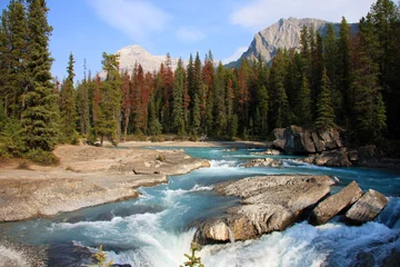 Foto op Plexiglas Yosemite USA © huntington