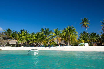 tropical beach