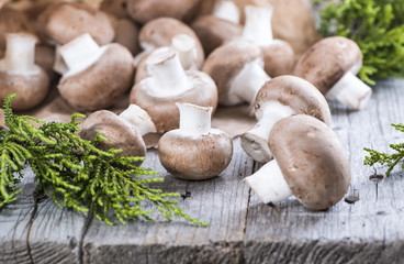 Portion of fresh Mushrooms