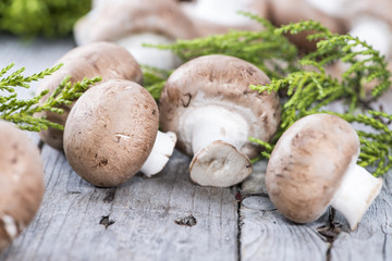 Portion of fresh Mushrooms