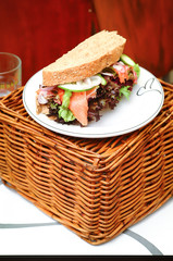 sandwich. sandwich on background