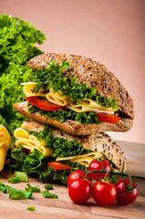 Saturated sandwich concept with dark background