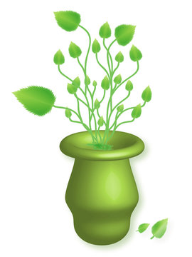 green plant growing in green pot clip art preview