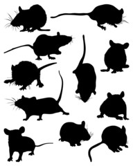 Black silhouettes  of mouses, vector