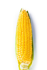 Yellow sweet corn on the background
