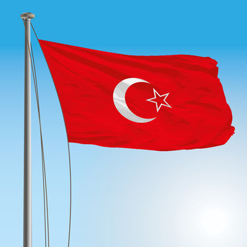 fezzan flag