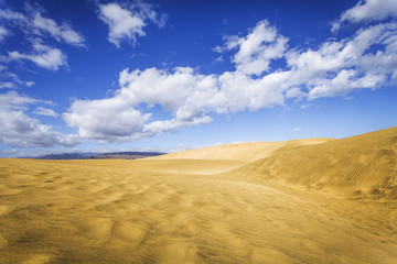 Obraz na płótnie Canvas sand dunes