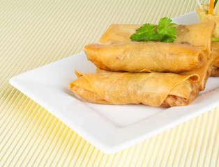 Spring Roll on background