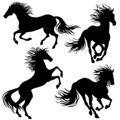running horses, vector silhouette