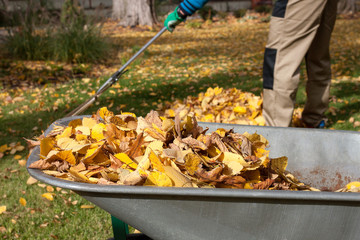 Work in the garden