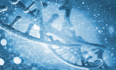 DNA molecule