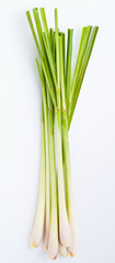Fototapeta premium Lemon Grass on white background