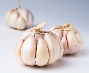 garlic on the background