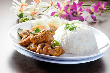 fry chicken rice of thailand