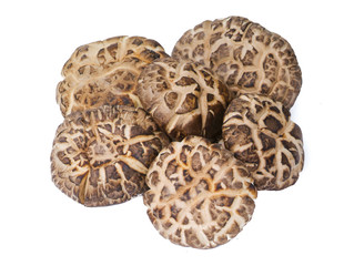 Dried mushroom closeup on white background