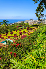 Tropical Botanical Gardens in Funchal town, Madeira island © pkazmierczak