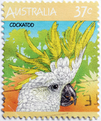 Cockatoo Stamp