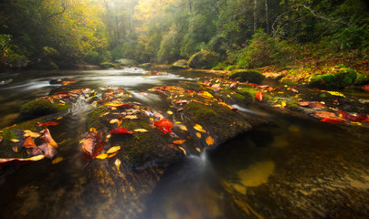Fall Colors on Appalachian River