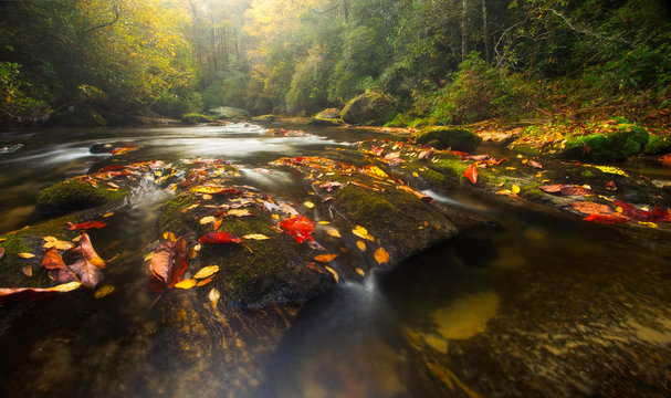 Fototapeta Fall Colors on Appalachian River