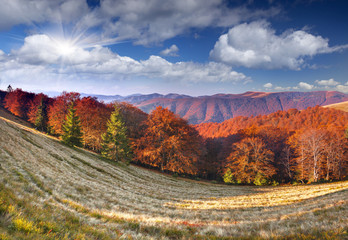 Colorful autumn panorama of the mountains.