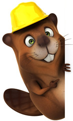 Beaver © Julien Tromeur