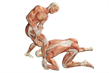armlock on hand, men with visible muscles