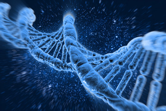 DNA molecules human