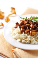 Risotto with chanterelles