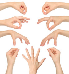 Collage of woman hands on white background.