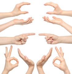 Collage of woman hands on white background.