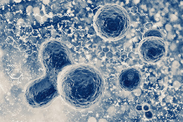 Bacteria or cells under a microscope