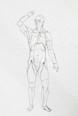 Fototapeta na wymiar Detail of human front body pencil drawing on white paper
