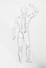 Fototapeta na wymiar Detail of human back body pencil drawing on white paper