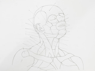Detail of human face neck pencil drawing on white paper