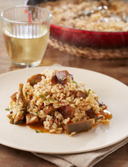 Dish of artichokes and mushrooms rice